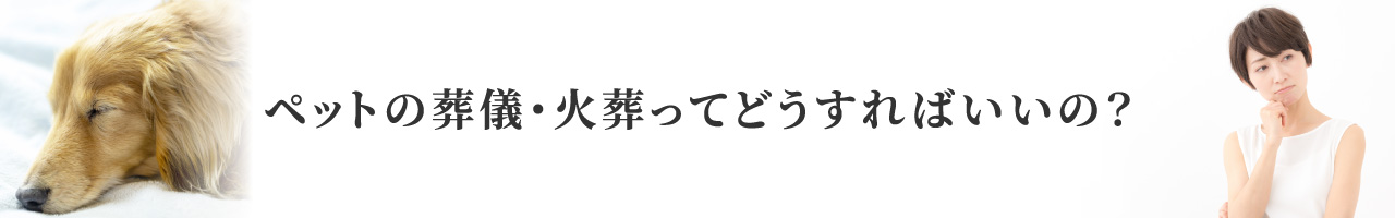 ペットの火葬