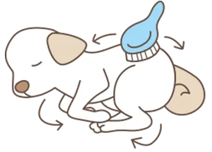 ペットの安置方法