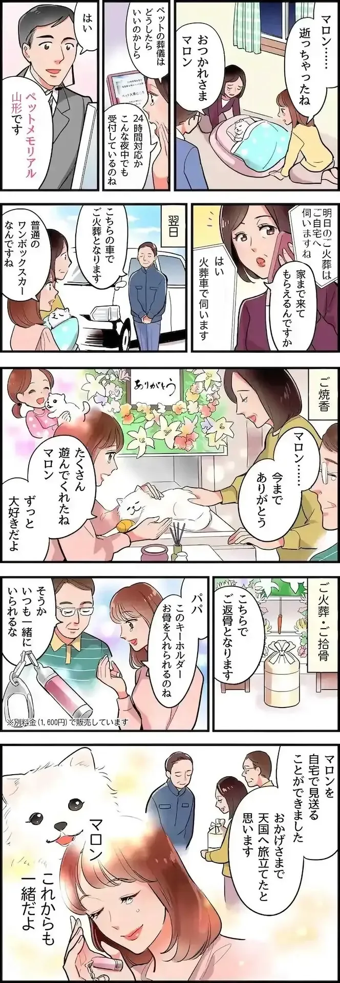 ペットが亡くなったらどうする？訪問ペット火葬の流れを漫画で解説